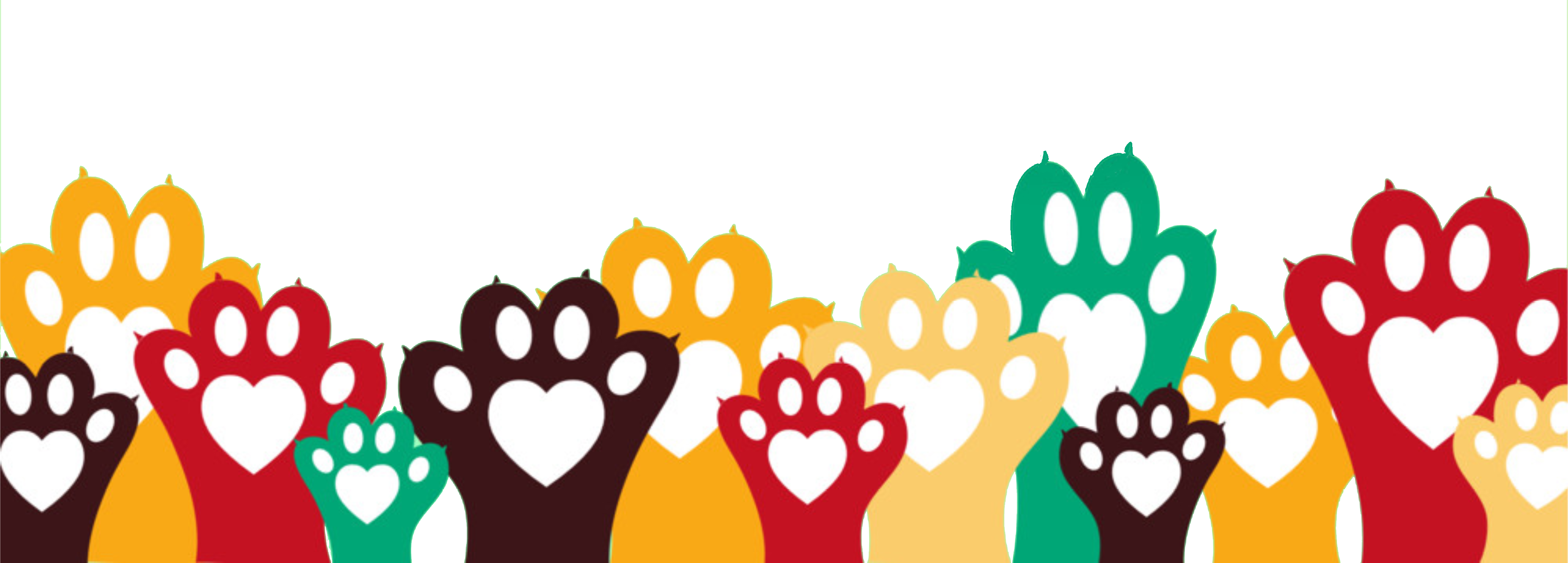 Three Paws Animal Rescue